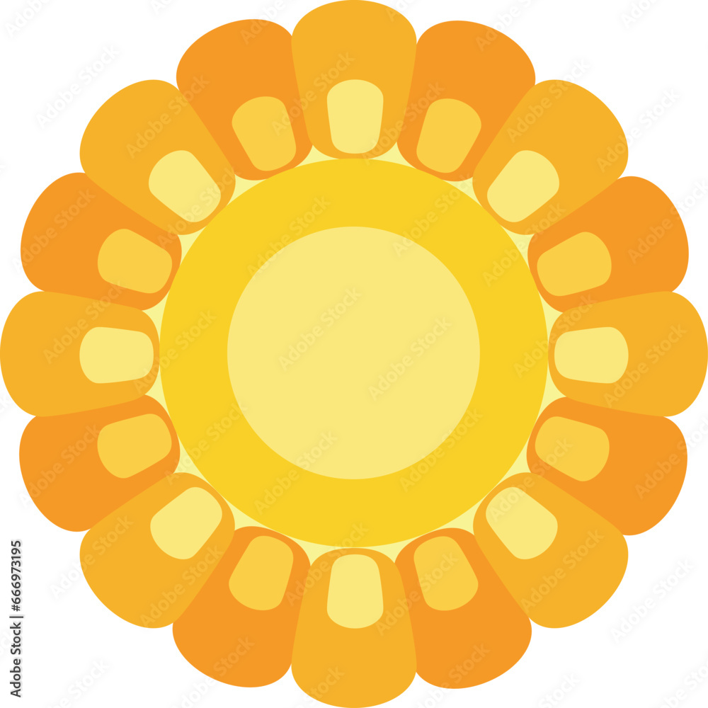 Corn icon vector. Corn on white background. Corn icon vector. Corn on white background.