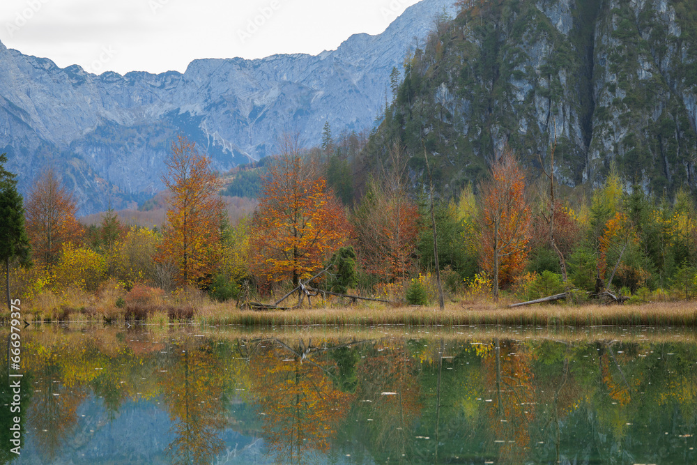 Fototapeta premium Colorful Trees at a Mountain Lake in Autumn in Austria