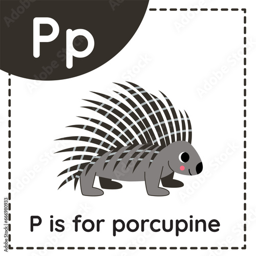 Animal alphabet flashcard for children. Learning letter P. P is for porcupine.