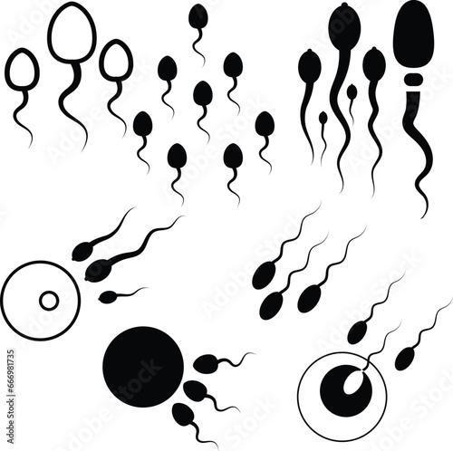 Set of sperm vector clipart. Sperm silhouettes
