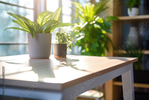 Green flower in a pot on a table in a modern room, bright interior lighting, space for text