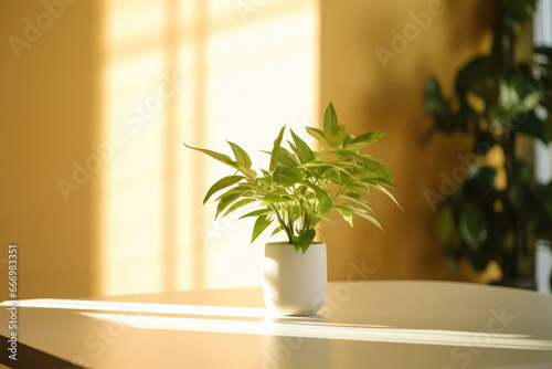 Green flower in a pot on a table in a modern room, bright interior lighting, space for text © Irina B