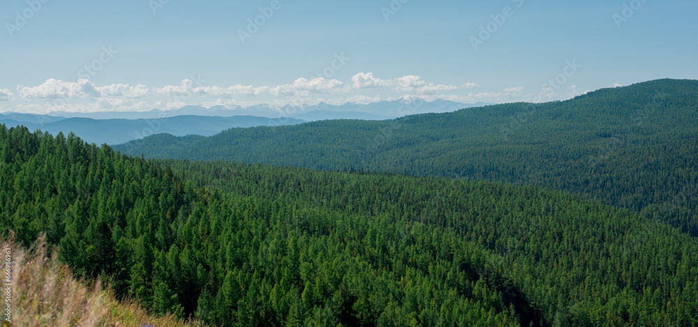 Fototapeta premium Landscape of mountains covered with forest