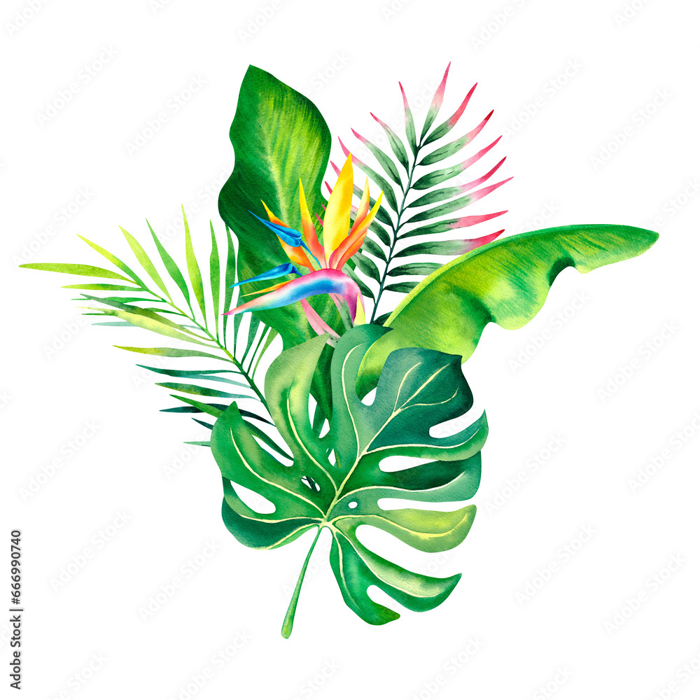Botanical composition of strelitzia flowers, palm branches and monstera. Tropical plants. Watercolor illustration. Bouquet for the holiday. - obrazy, fototapety, plakaty 