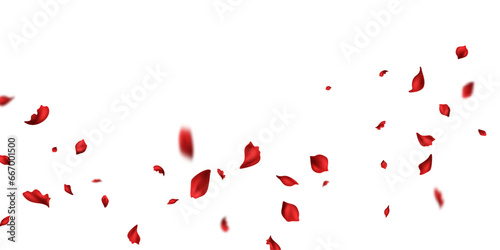 Red rose petals will fall on abstract floral background with gorgeous rose petal greeting card design.