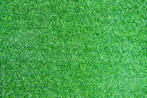 green grass background