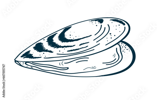Sea mussel by ink. 