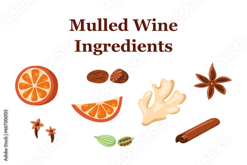 mulled wine ingredients. Vector illustration
