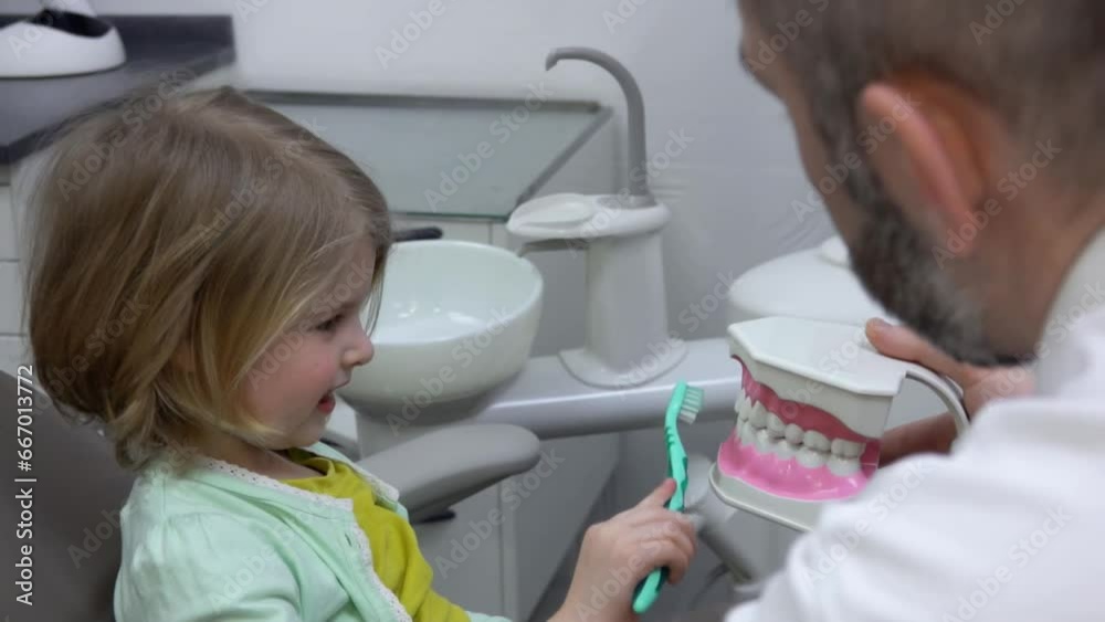 The cute little girl is learning how to clean her teeth on the plastic jaw model The cute little girl is learning how to clean her teeth on the plastic jaw model