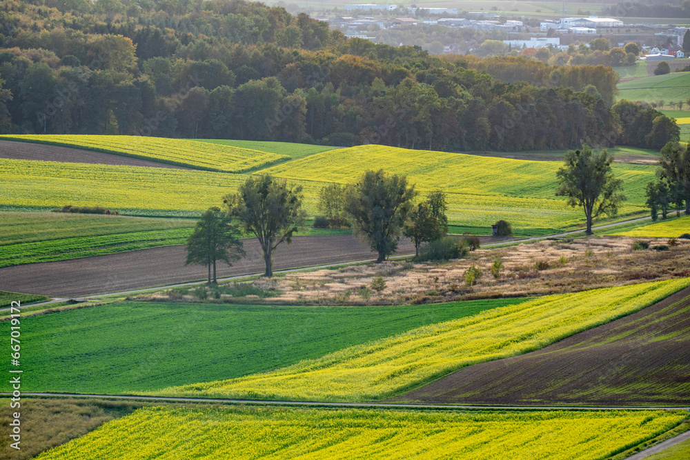 Obraz premium Agrarlandschaft im Herbst