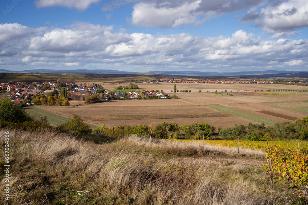 Blick vom Martinsberg auf Siefersheim (Rheinhessen) im Oktober 2023