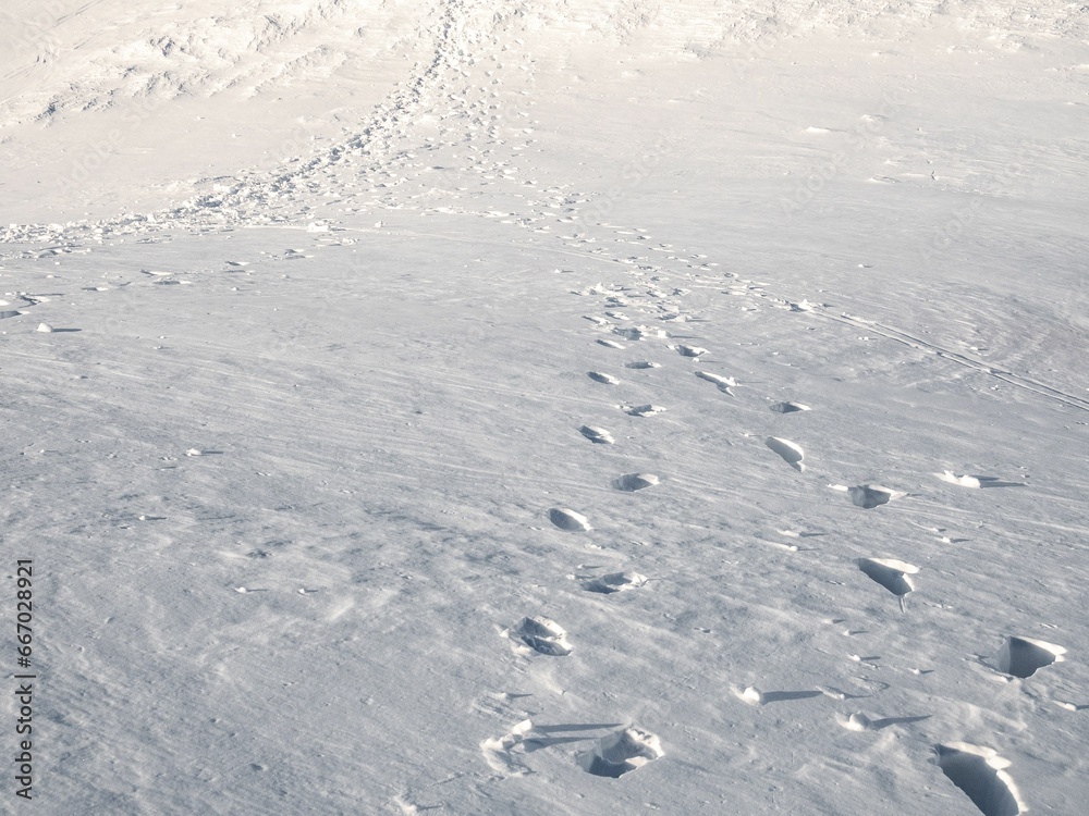 Close-up of footprints in the fresh snow Close-up of footprints in the fresh snow
