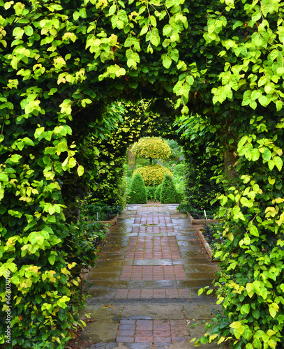Arches in ornimental Hedges and brick path