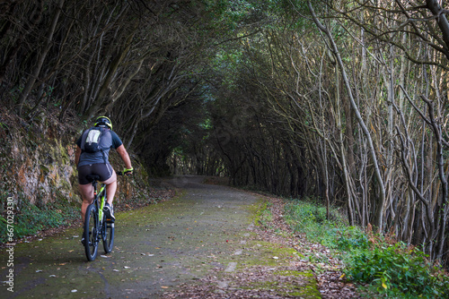 cyclist rolling down a road under the forest, Buciero mountain, Santoña, Cantabria, Spain photo