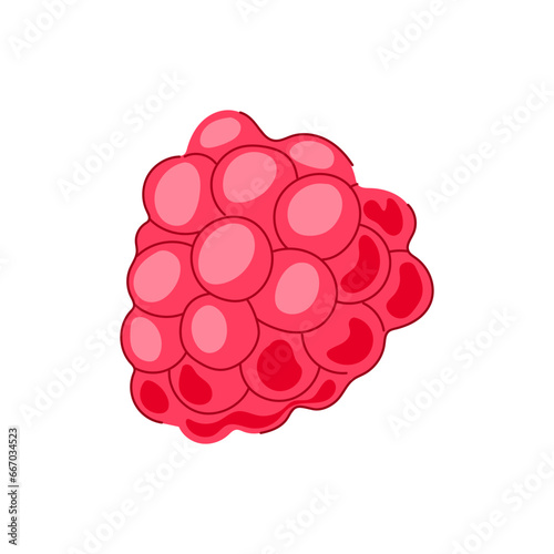 plate jelly cartoon. pudding snack, candy tasty, strawberry dish plate jelly sign. isolated symbol vector illustration