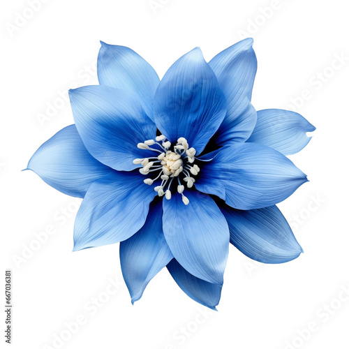 isolated illustration of blue exotic flower. Created with Generative AI