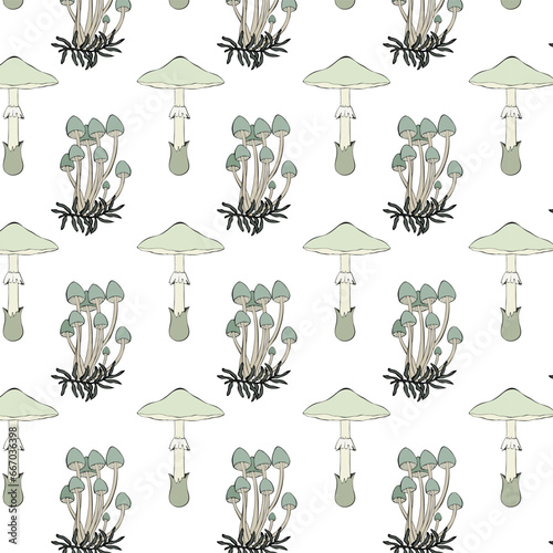 Pattern with poisonous mushrooms family Mycenae and toadstool. On white background. Vector illustration