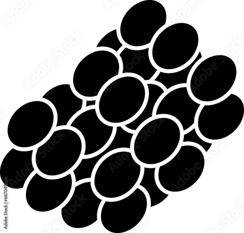 tempeh  icon