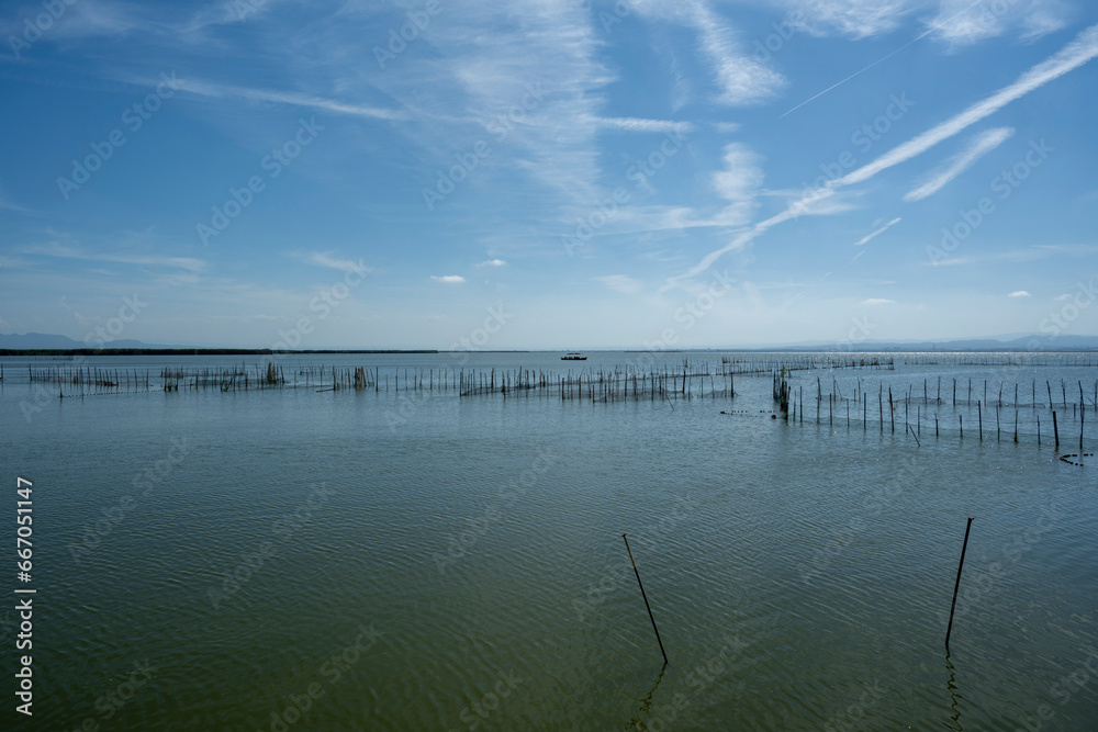 Valencia, Spain - August 19, 2023: Panoramic view of the lake of Albufera, Valencia, Spain