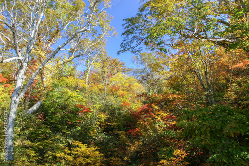 ニセコ五色温泉界隈の紅葉風景