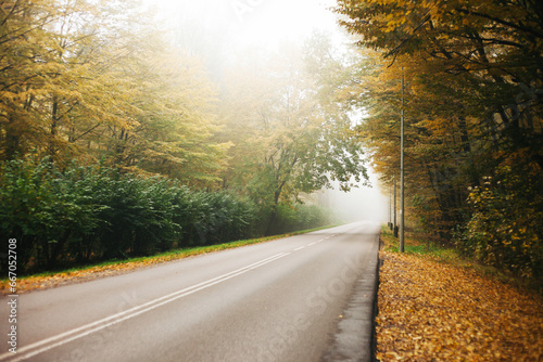 Empty asphalt road. Autumn landscape. Foggy day background. Sand village road. Rainy day. Small village in Poland Europe. Narrow wild nature alley. Fall season scenery. Dangerous road conditions.