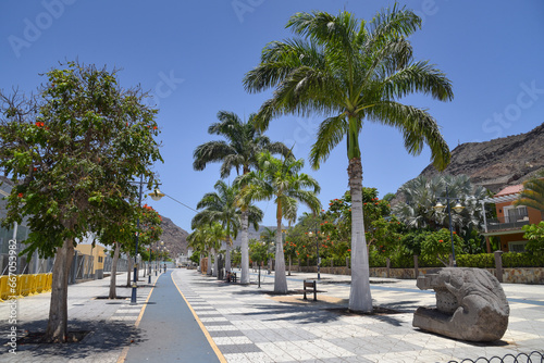 Weg mit Palmen in Puerto de Mogan   Insel Gran Canaria