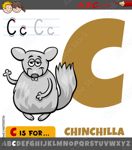 letter C from alphabet with cartoon chinchilla animal character