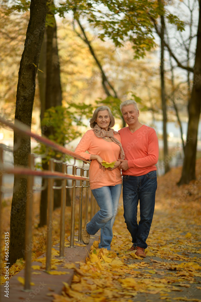 Elderly couple dance in the park in autumn. Elderly couple dance in the park in autumn.