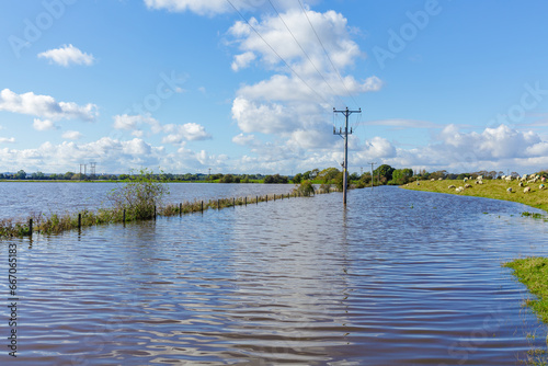 Storm Babet flooding in agricultural fields forces sheep on to a higher banking, alongside the Birkin, West Haddlesey Road, Selby, North Yorkshire in October 2023.  Horizontal.  Space for copy.