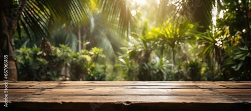 A table made of wood with the tropical rainforest as its background