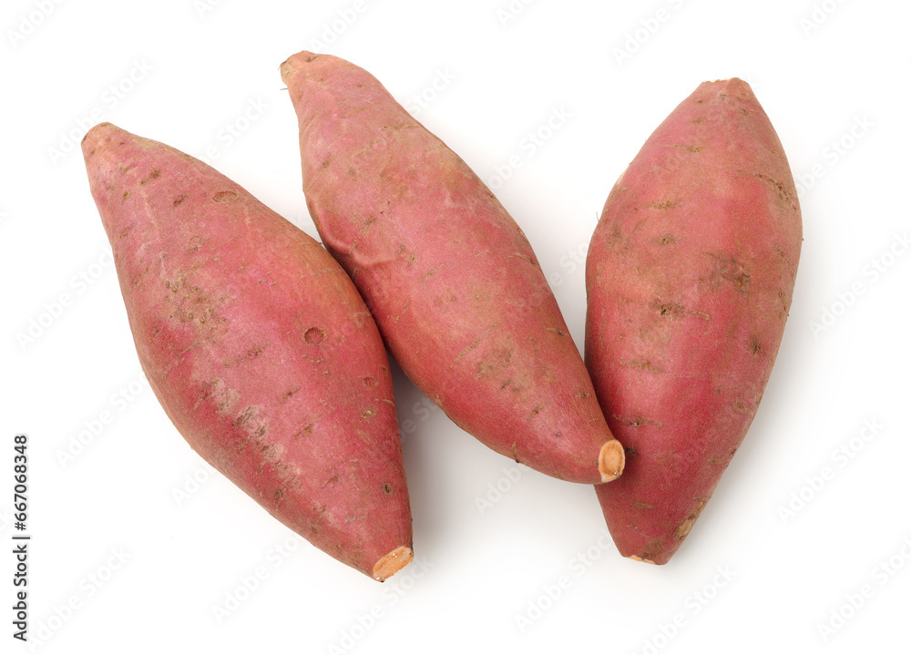 sweet potato on the white background sweet potato on the white background