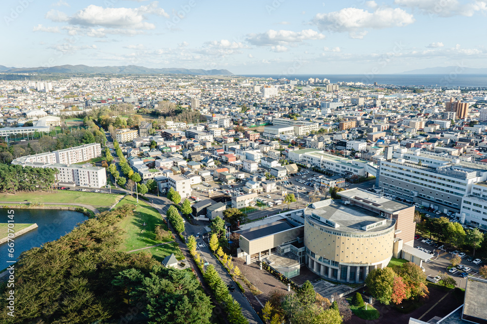 Obraz premium 五稜郭タワーからの景色 函館市街 街並み