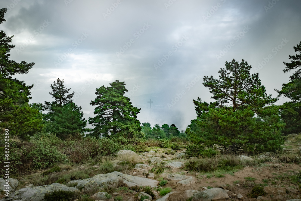 Autumn cloudy landscape of a green forest Autumn cloudy landscape of a green forest