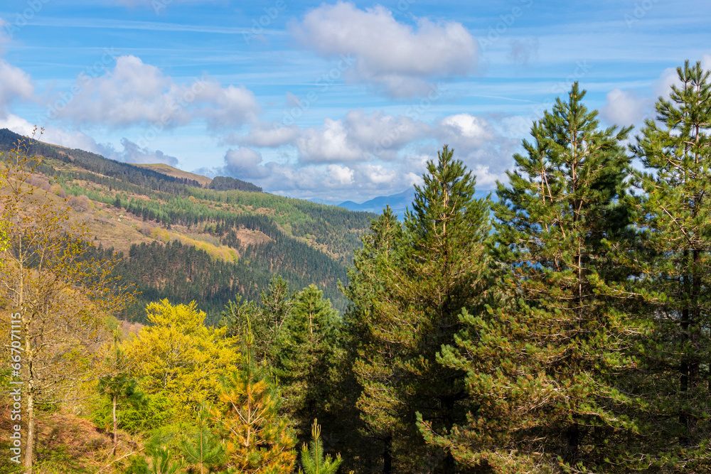 Autumn s Palette: A Panoramic View of a Mountainous Landscape in Fall Autumn s Palette: A Panoramic View of a Mountainous Landscape in Fall