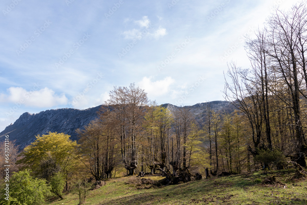A Serene Landscape: The Harmony of Mountains, Trees, and Blue Sky A Serene Landscape: The Harmony of Mountains, Trees, and Blue Sky