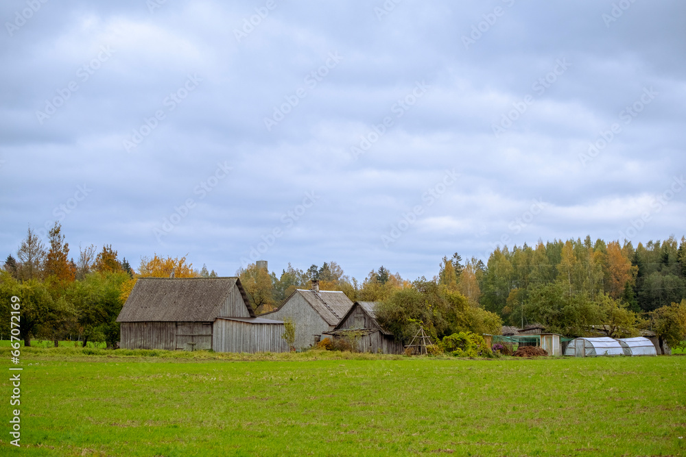 Obraz premium landscape with old wooden buildings in Latvia countryside in colorful autumn.