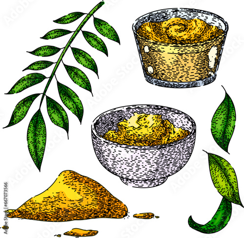 curry set hand drawn. spicy asian, dish indian, sauce traditional curry vector sketch. isolated color illustration