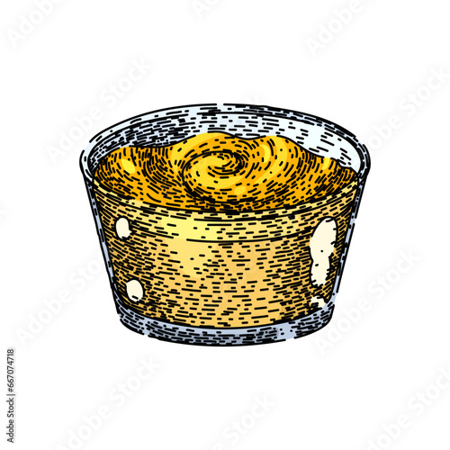 india curry hand drawn. spicy asian, dish indian, sauce traditional india curry vector sketch. isolated color illustration