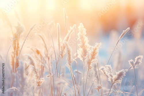 Winter atmospheric landscape with frost-covered dry plants during snowfall.
