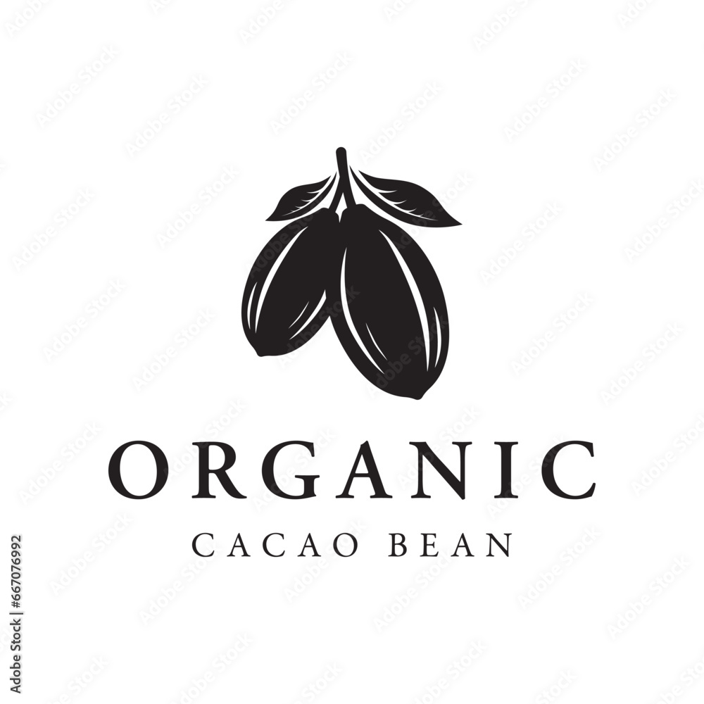 Fototapeta premium Organic chocolate or cacao fruit logo template design isolated background.