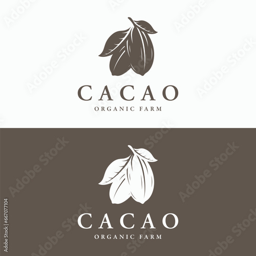Organic chocolate or cacao fruit logo template design isolated background.