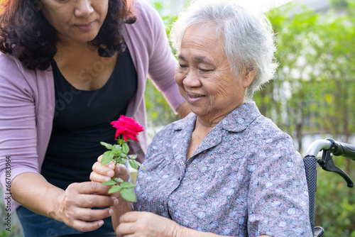 Asian elderly woman holding red rose flower, smile and happy in the sunny garden. © amazing studio