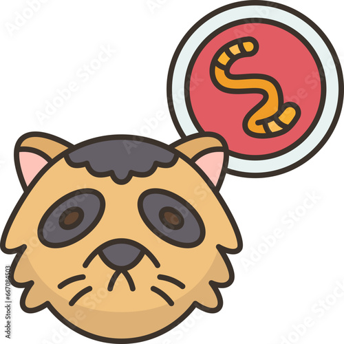 raccoon  icon