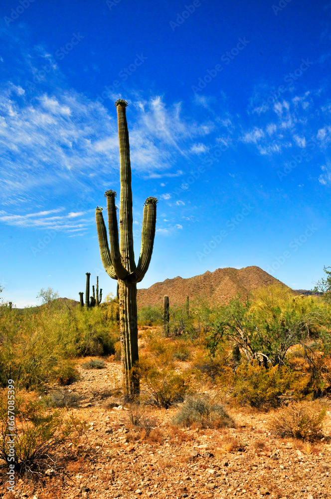 San Tan Mountains Sonora Desert Arizona