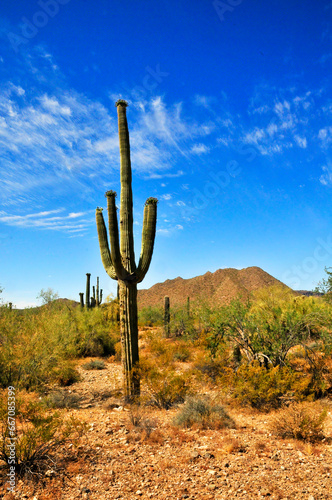 San Tan Mountains Sonora Desert Arizona