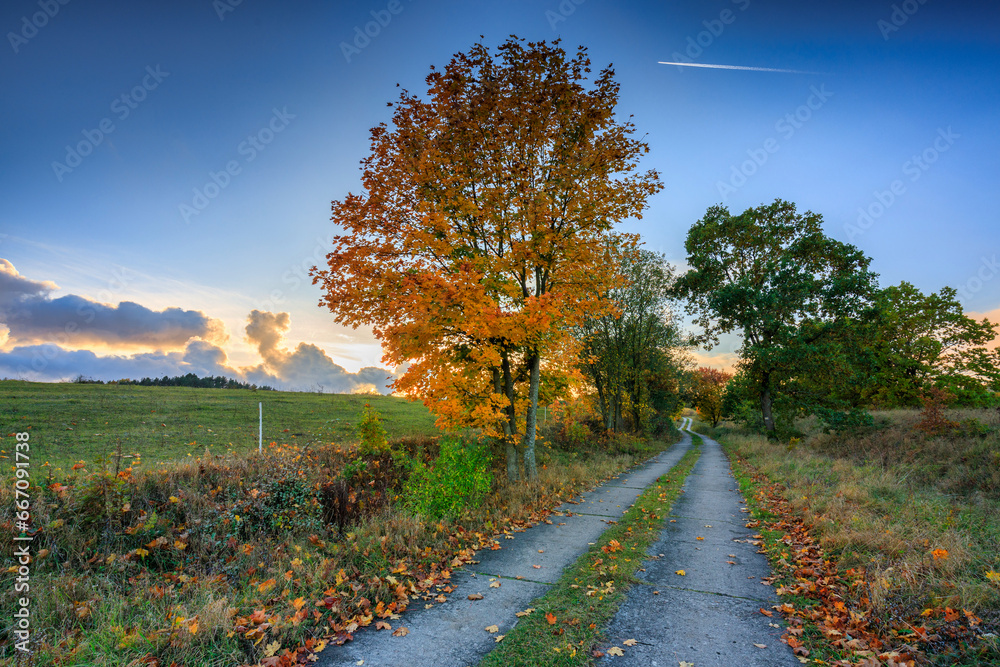 Naklejka premium Beautiful landscape with autumn trees at sunset. Poland