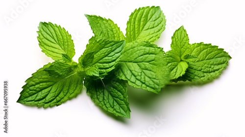 Minty, verdant leaves, especially peppermint, lie atop a white foundation, offering ample negative space.