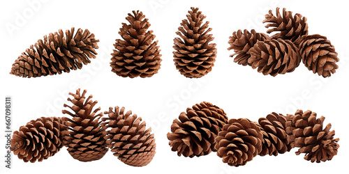 Pine cones isolated on transparent background photo