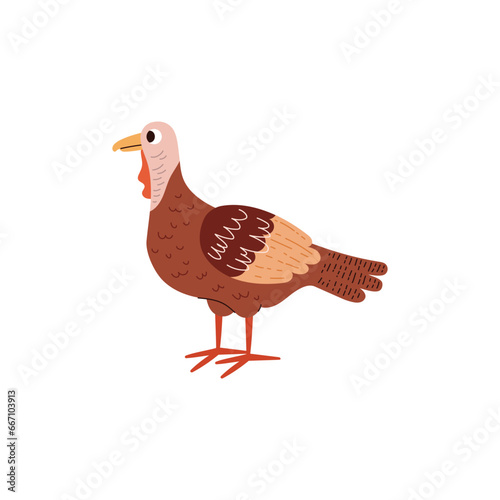 Poultry turkey bird, farm fowl vector cartoon illustration, cute gobbler country animal for food isolated on white