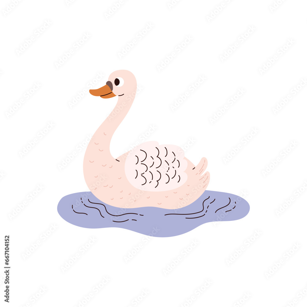 Obraz premium White goose floating on water.